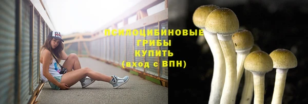 таблы Алексин