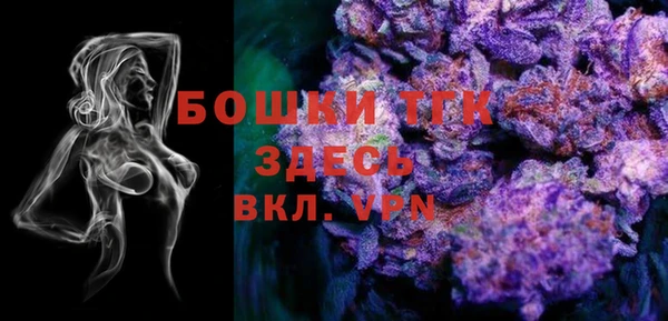 PSILOCYBIN Алексеевка