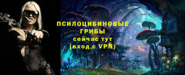 PSILOCYBIN Алексеевка